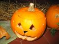 halloween028.jpg