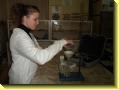 dsc01112.jpg